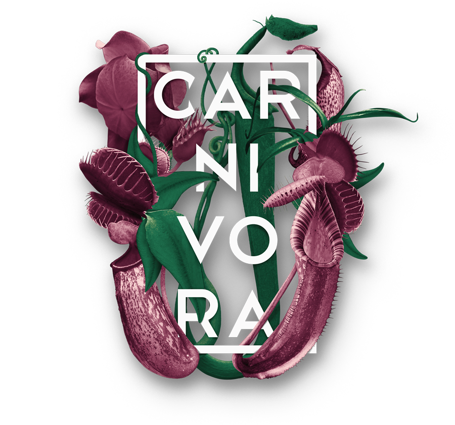 Logo Carnívora